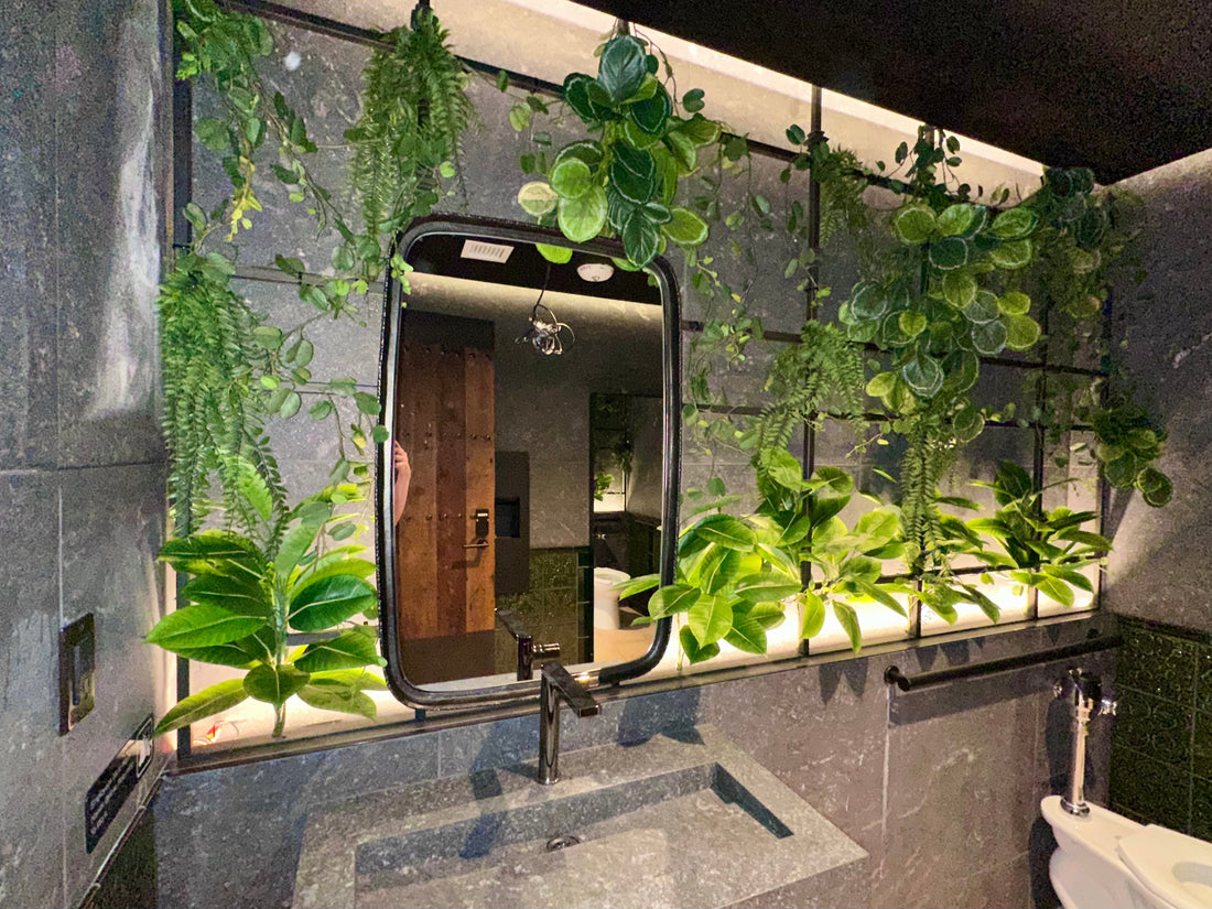 Best No and Low-Maintenance Greenery Solutions for Office, Corporate and Hospitality Settings