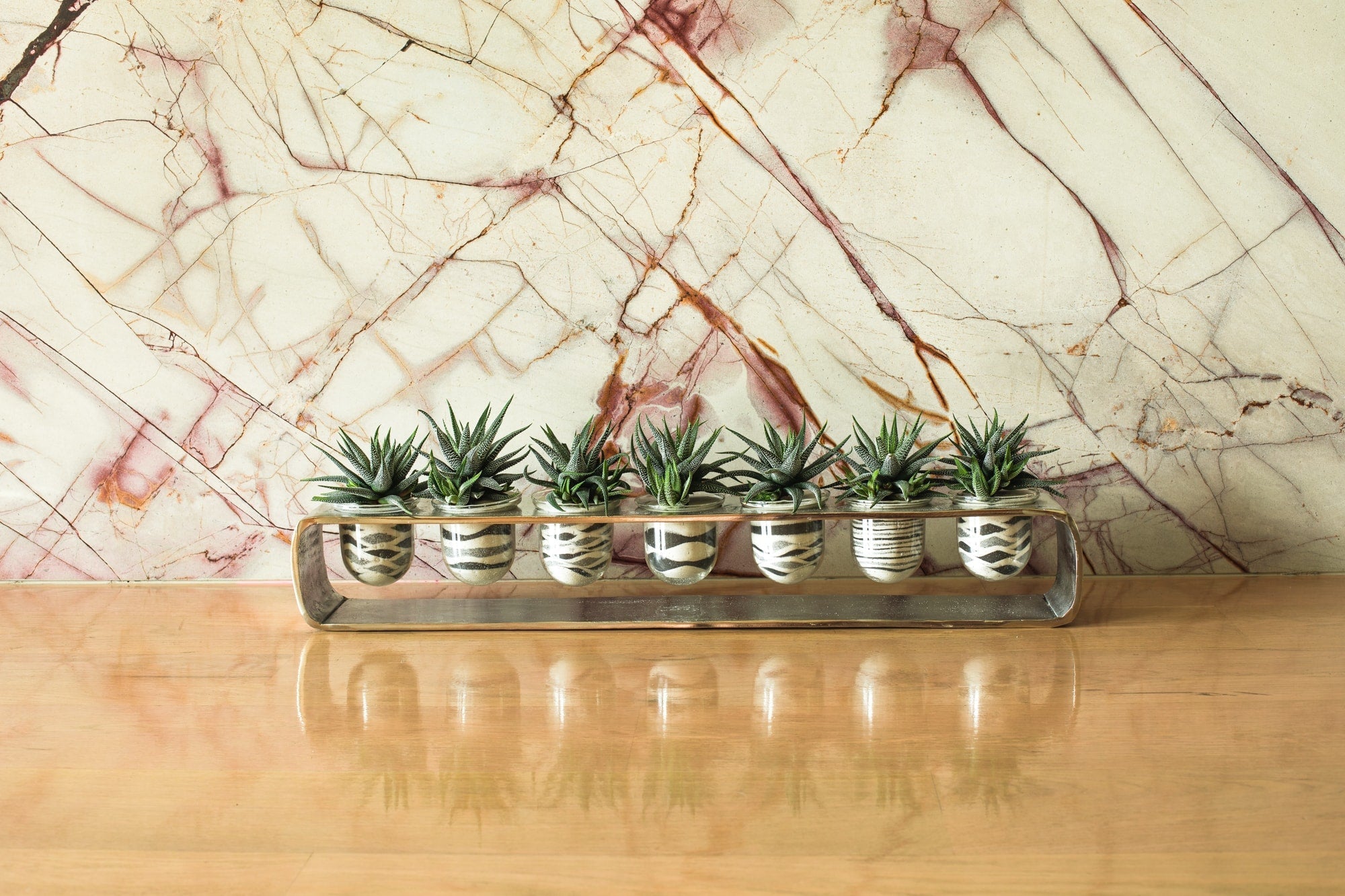 Why cut succulents?!