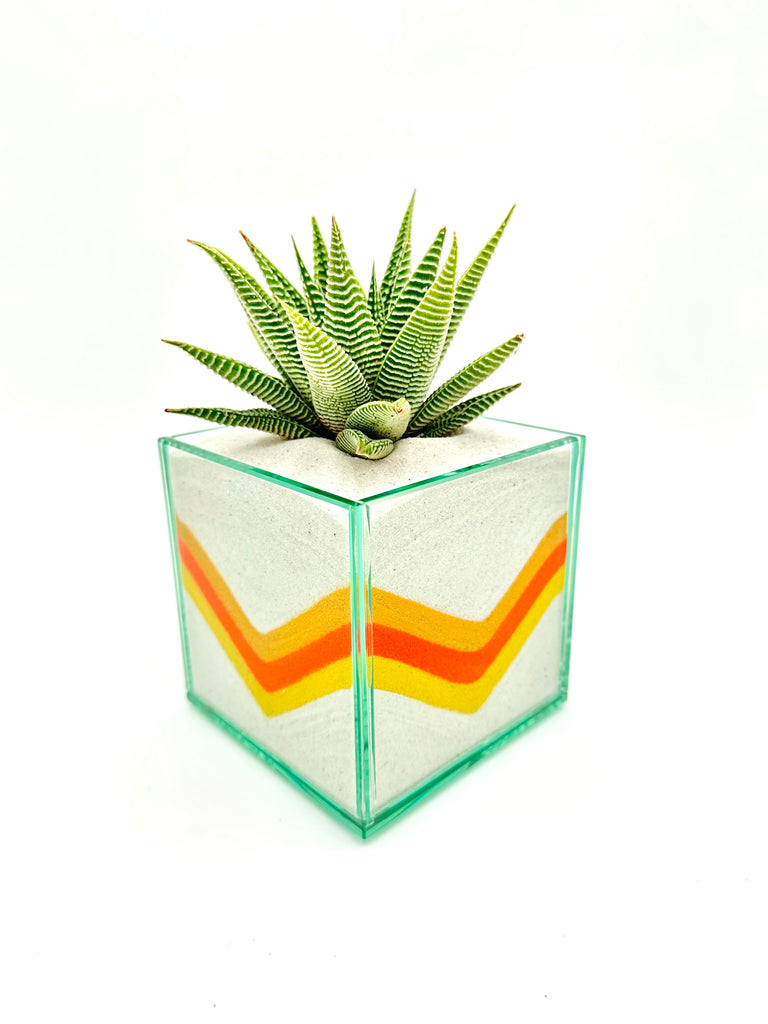 Pacific Colorful (Multiple Styles)