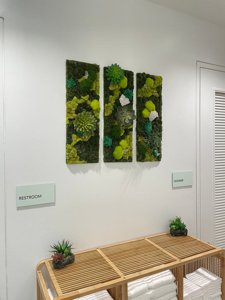 Moss Wall Art, Wood Frame, Moss Art Work, Moss Art, Preserved Moss Art. 