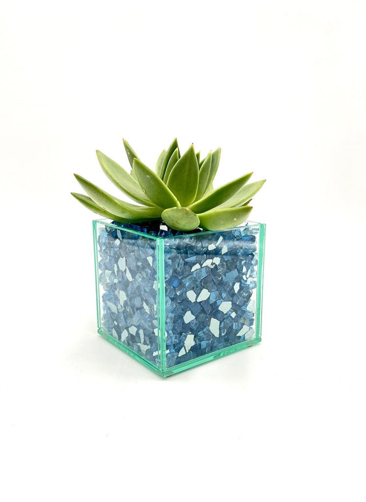 Pacific Cut Glass (Multiple Styles)