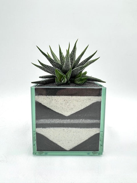 Pacific Neutral (Multiple Styles)