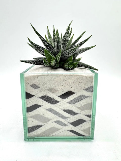 Pacific Neutral (Multiple Styles)