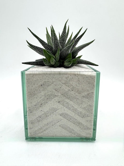 Pacific Neutral (Multiple Styles)