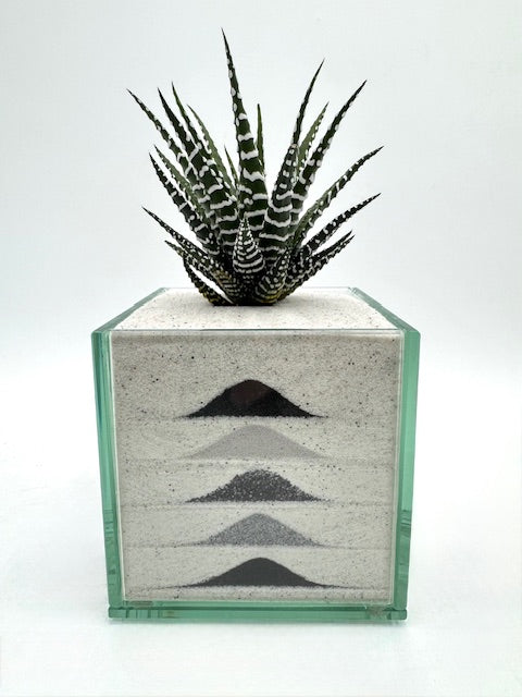Pacific Neutral (Multiple Styles)
