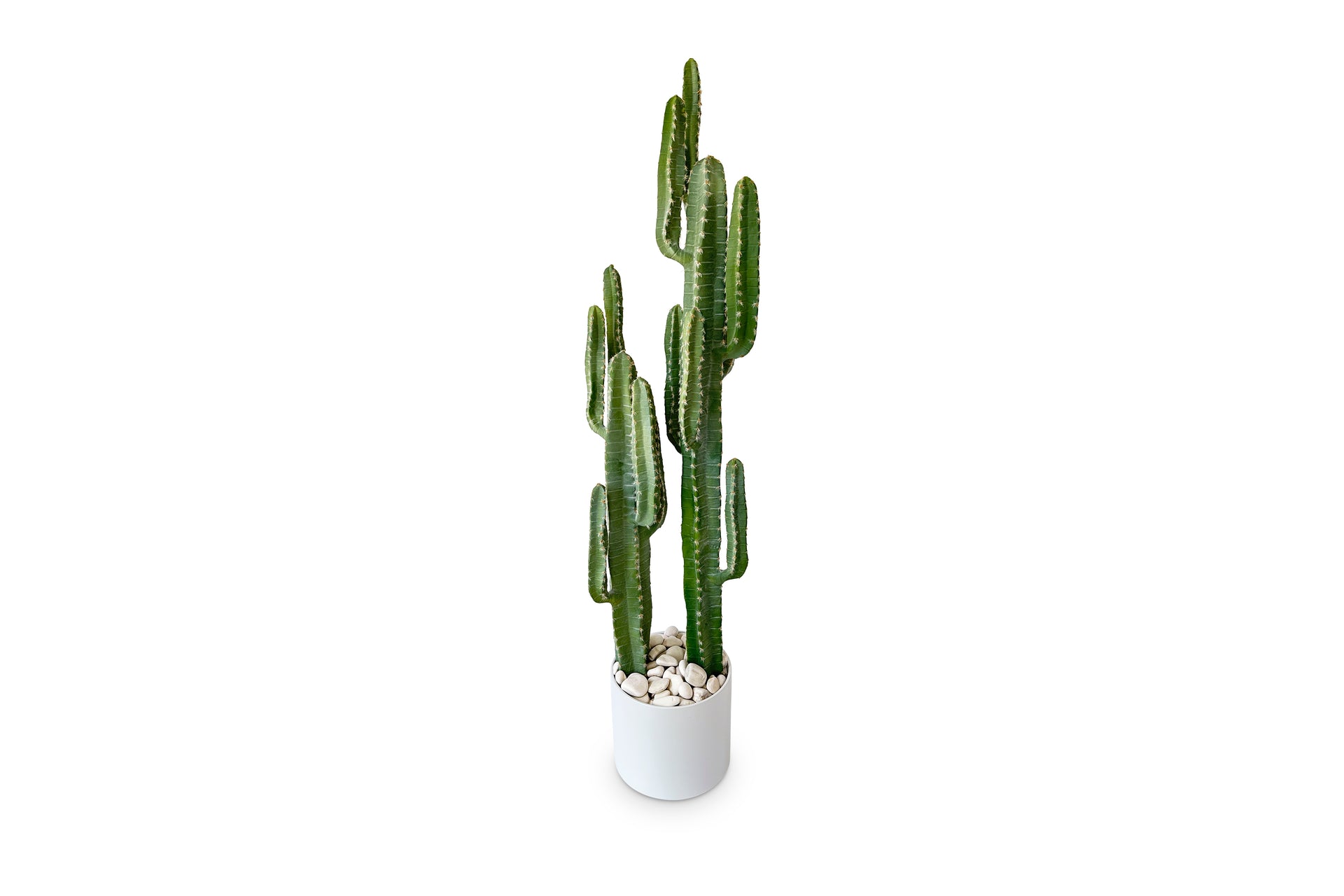 cactus 200 maßstab Saguaro Cactus 6ft – Urban Spikes