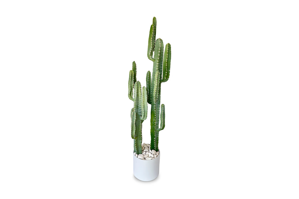 Saguaro Cactus 6ft