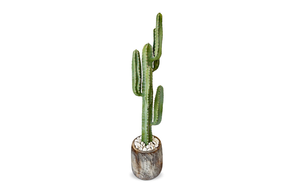 Saguaro Cactus 4.5ft
