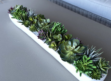 succulent arrangement in a long white planter for office or commercial space 