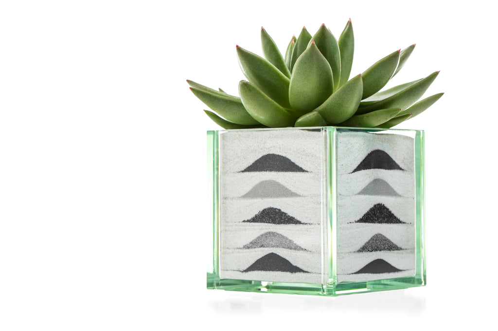 Pacific Neutral (Multiple Styles)