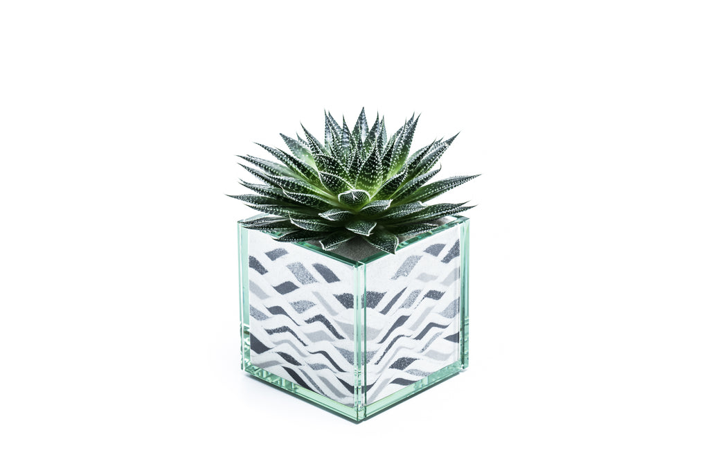 Pacific Neutral (Multiple Styles)