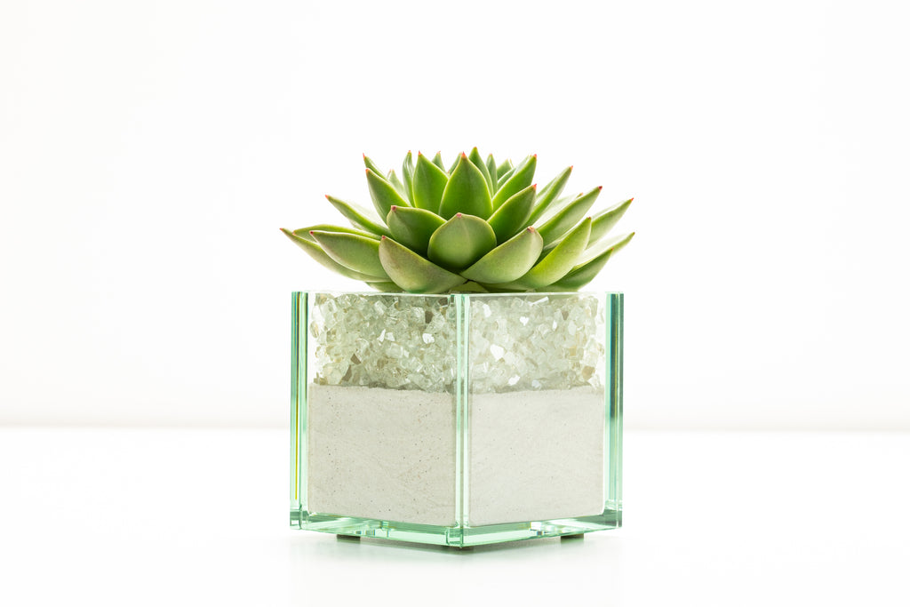 Pacific Cut Glass (Multiple Styles)