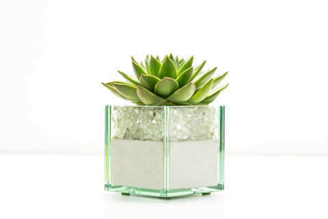 Pacific Cut Glass (Multiple Styles)