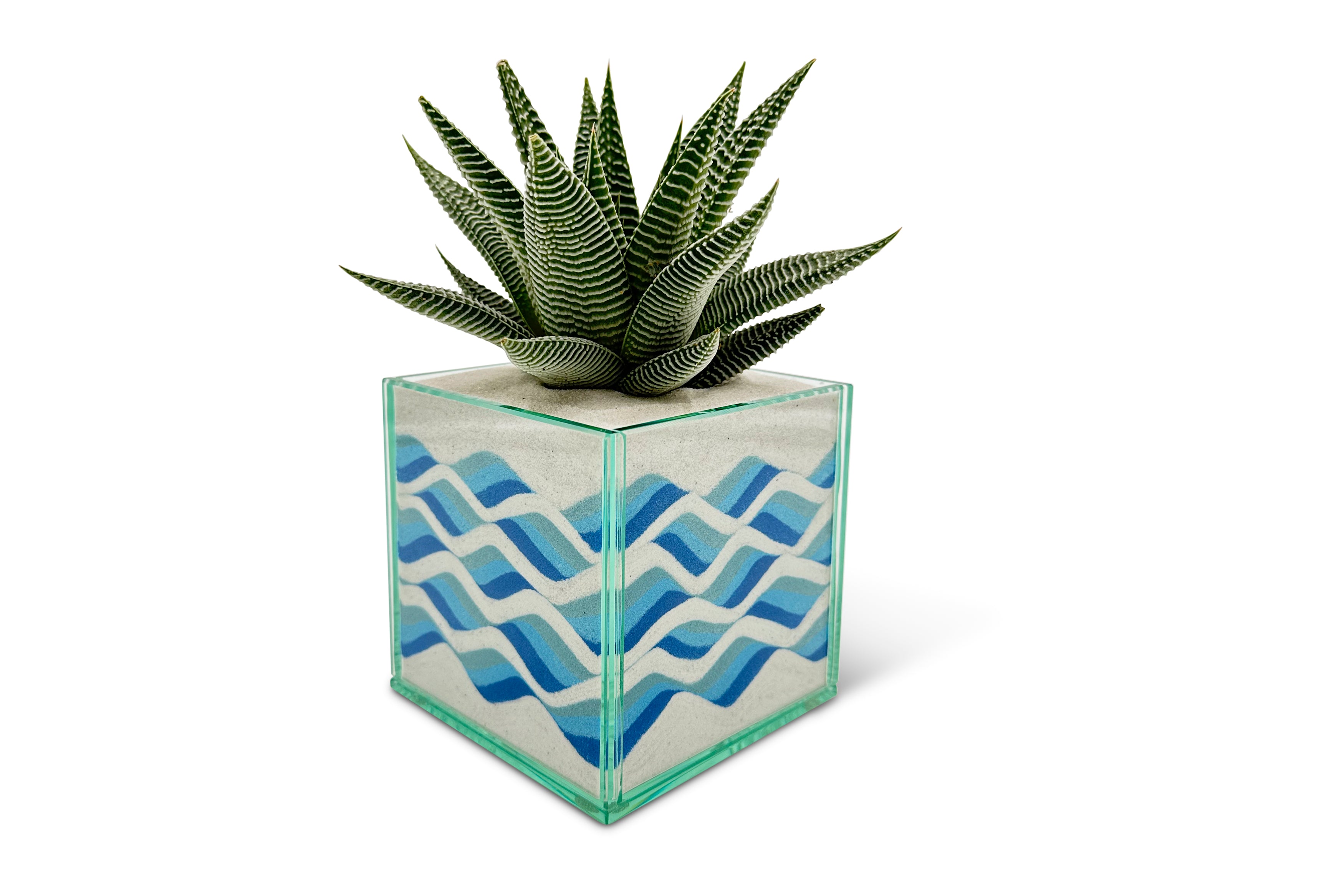 Pacific Colorful (Multiple Styles)